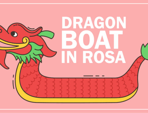 dragon boat in rosa cancro al seno